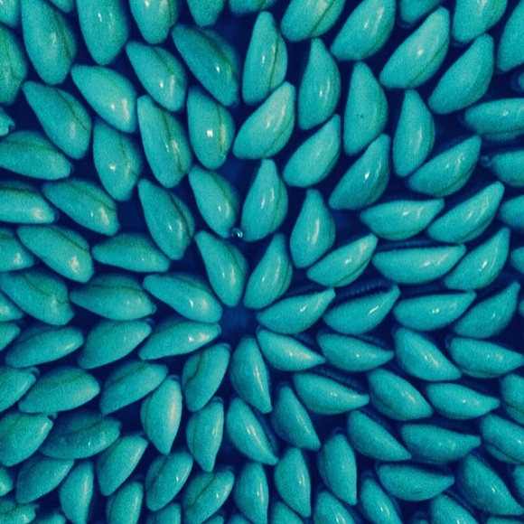 🦋Meet your Posher, Irene🦋 - Picture 2 of 4